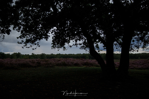 This is the result of partial metering. It is an mainly in the center of the image, ignoring the surroundings.