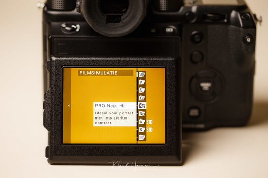 The film silulations that are available on the Fujifilm cameras simulate old analog films. This is the list of choices that can be found on the Fujifilm GFX-50s