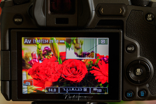 This is an example of a picture style on the Canon EOS R with high contrast and a lot of saturation. Look at the histogram, it is build upon the embedded JPEG that comes with the RAW file format.