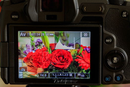 This is an example of a picture style on the Canon EOS R with low contrast and reduced saturation. Look again at the histogram, which is very different compared to the previous image.