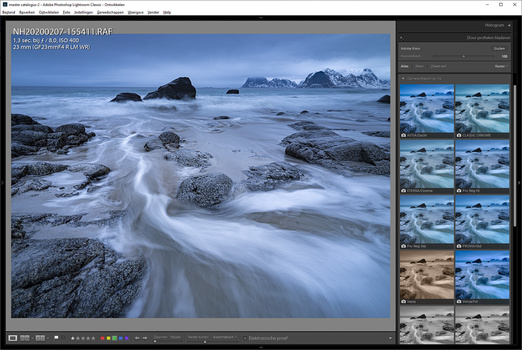 When photographing in RAW file format, picture styles or film simulations can be set in Ligthroom. These are a couple of the options for the Fujifilm GFX 100 RAW files.