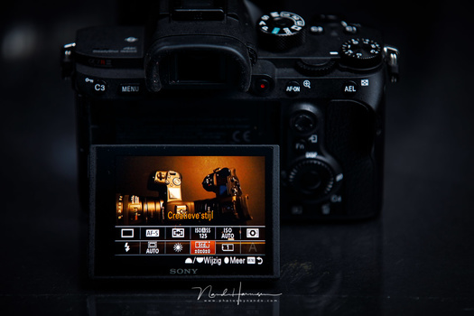 Film simulations, picture styles, or creative styles on Sony cameras. Every brand has its own name for these predefined styles.