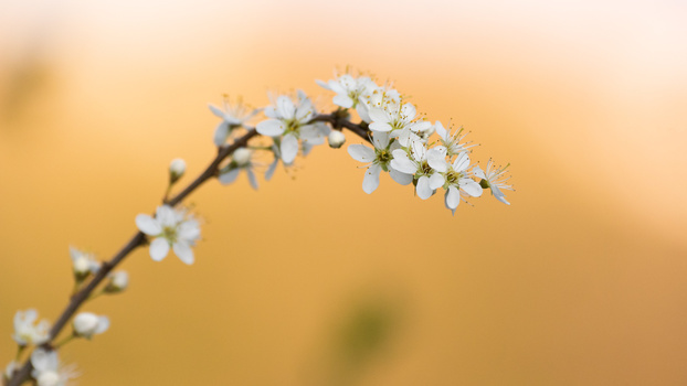 Master shutter speed with macro Master shutter speed with macro shots