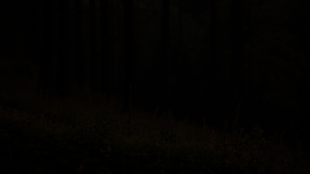 Underexposed landscape scene Underexposed woodland landscape scene