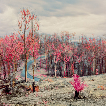 an infrared landscape photo of Batemans Bay in Australia after the bushfires of 2019.