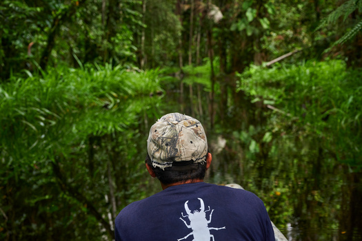 Amazonian Creek