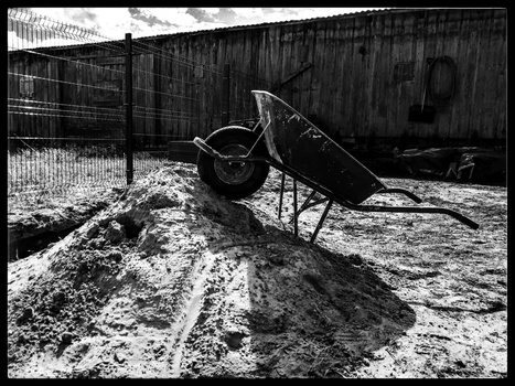 Photography is a hobby open for everyone Gardening tools.