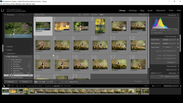 Screenshot showing Smart Collection creation complete Screenshot showing Smart Collection creation complete in Lightroom