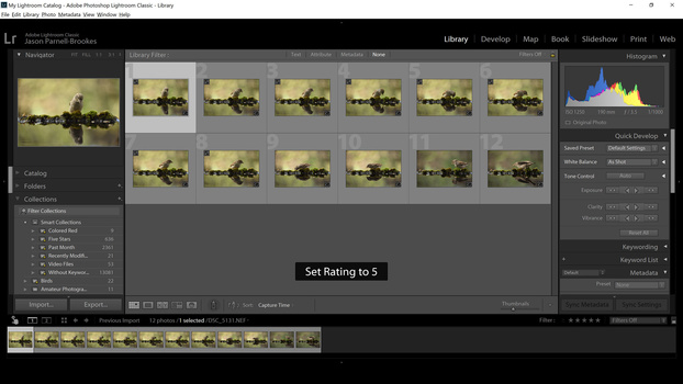 Screenshot showing images appearing in Smart Collection Screenshot showing images appearing in Smart Collection after they meet criteria set