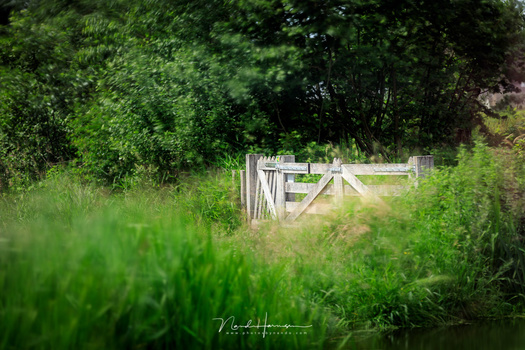 A fence in strong winds. It blurred the surroundings very nice. (Canon EOS 5D4 + EF70-200mm @ 200mm, ISO200 - f/2.8 - 660 seconds)