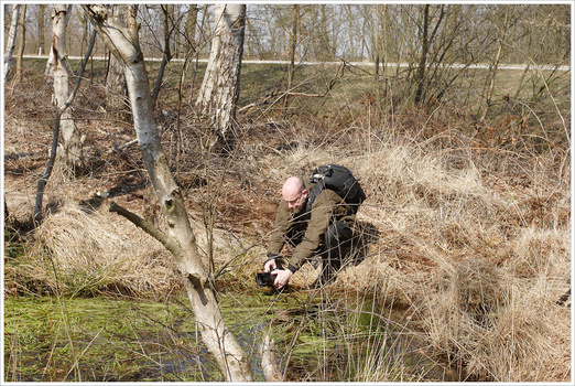 Photographing from strange angles can be much easier with live view