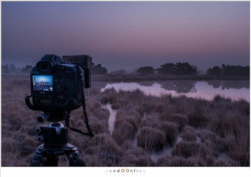 With live view you automatically use mirror lock-up. Perfect for longer exposures.