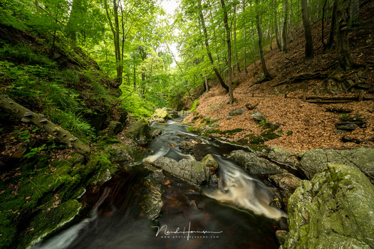 I used the Haida M10 Insert Variable ND filter in the Laowa dedicated filter holder, to remove glare in this scenery. (Canon EOS 5D4 + Laowa 12mm - ISO100 - f/11 - 6 sec - Haida VND filter)