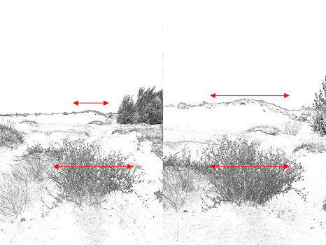 This drawing of the images show what difference the change of focal length, and distance to the subject make.
