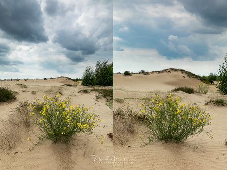 The foreground is about the same size, but I used 24mm for the left image, and 70mm for the right image. Look at the difference in the background.
