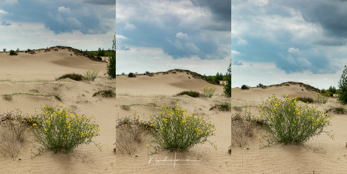 By changing the height of the camera, you can divide the objects in hte frame. Try to look at it in 2D instead of 3D.