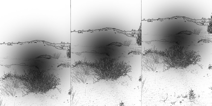 I have visualised the point of gravity in the image. By placing it in a certain way, it can change the feeling of the image.