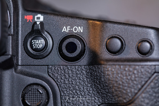 This is the thing I found amazing about the camera: the Smart Controller. Every Canon camera should have one.