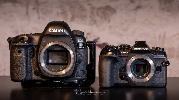 The Olympus OM-D E-M1 II compared to the Canon EOS 5D mark IV.