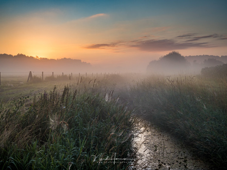 A misty sunrise. Just use filters or bracketing for the exposure and you don't have to worry that much about dynamic range. Nevertheless, this is a single shot, without filters.(M.zuiko 25mm, ISO200, f/8, 1/60)