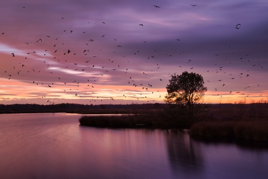 A flock of birds at sunrise. Or is it? In reality it is a long exposure at sunrise and I added the birds through the augmented sky option in Luminar 4. Did you think it was real the moment you saw the image?