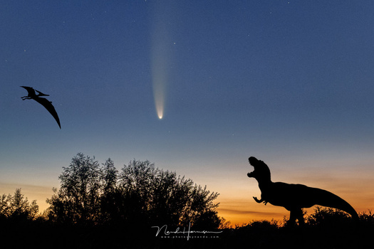 For this fun image I enlarged the comet NEOWISE to be better visible. But believe me; the dinosaurs are real... images from the internet.