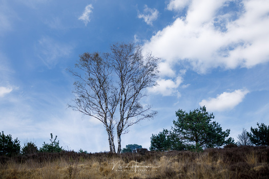 easy sky replacement in photoshop and luminar which is easier fstoppers