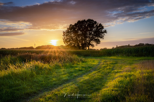 Shooting an exposure bracketing series makes it possible to capture nearly every dynamic range. This photo is a HDR from a series of five images with different exposures. There is no need to use the dynamic range capabilties of the sensor itself