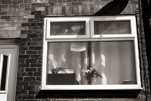How to plan personal photography projects A cat looking through a living room window.