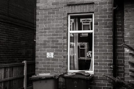 How to motivate yourself to be more creative. A dog looking through the living room window.