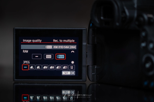 The file menu of the Canon EOS R5. You can choose between raw and craw, if you like.