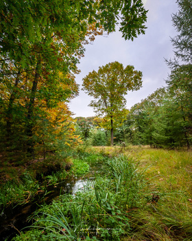 Canon EOS 20D with EFs15-85mm @ 15mm - handheld vertical panorama made from four images - ISO200 - f/8 - 1/25 sec