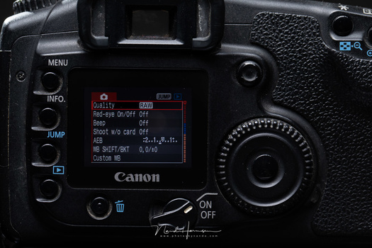 The menu of the Canon EOS 20D has all the necessary settings available, but nothing more. It can be consideren very rudimentary. Perhaps even prehistoric, if you like