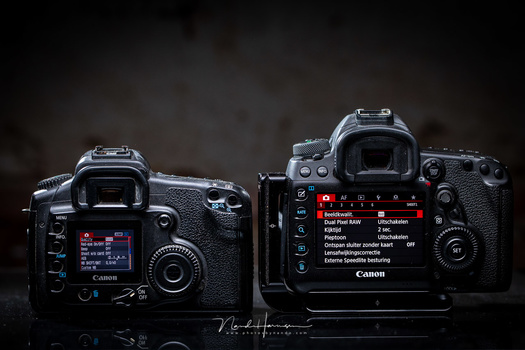 Perhaps the most striking differences between the two cameras are the screens and the menu. Much has improved since 2005