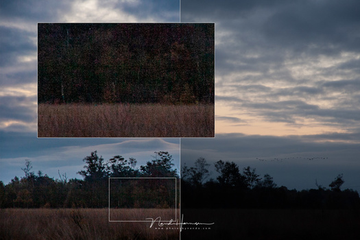 With ISO200 the possibilities for correcting shadows was very limited. I bumped up the shadows nearly 2 stops, but the noise is already very prominent. Quite a difference with modern sensors.