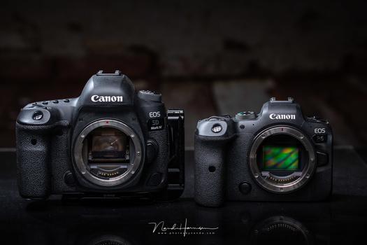 At the moment I still use a Canon EOS 5D mark IV, it is an amazing camera. But the Canon EOS R6 has a lot of benefits over the DSLR.