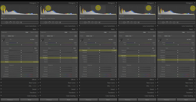 Each slider will adjust a different part of the histogram. Lightroom Classic allows you to adjust a slider, or to drag the histogram itself with your cursor.