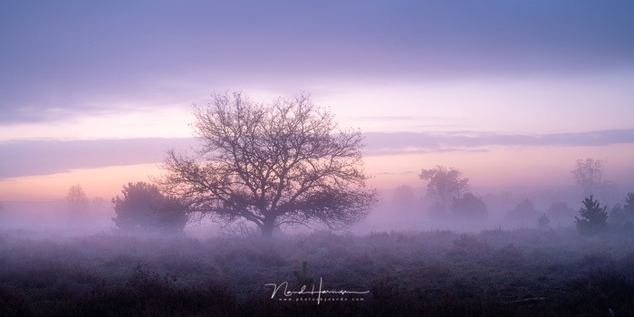 Fog will make distance objects blurry without the need of a small depth of field. This gives a nice 3D effect.