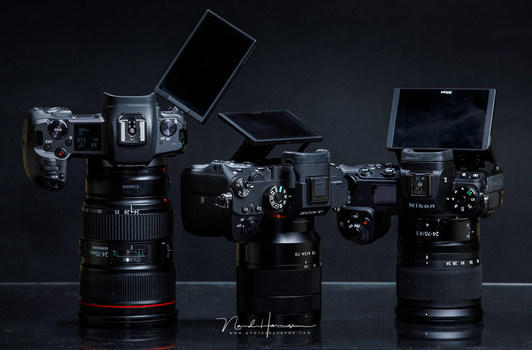 Sony paved the path for a mature mirrorless camera. Unfortunately Sony kept its cameras in puberty, I think.