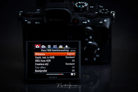 Sony knew its menu wasn't that good, but it took them years before they listened to the complaints. Now in 2020 they released the first camera with an improved menu.