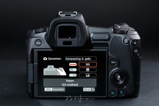 Canons first full frame mirrorless camera was a big step towards a great camera. But why did they incorporate that terrible touch bar, and strange locations of the buttons? Enough reason to leave the camera aside.