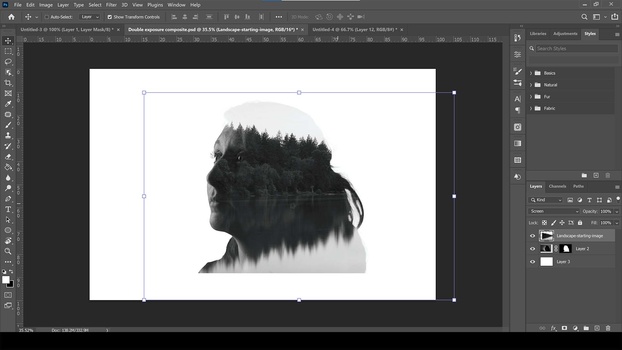 Reposition the image Converting landscape photo to black and white and repositioning it atop the portrait