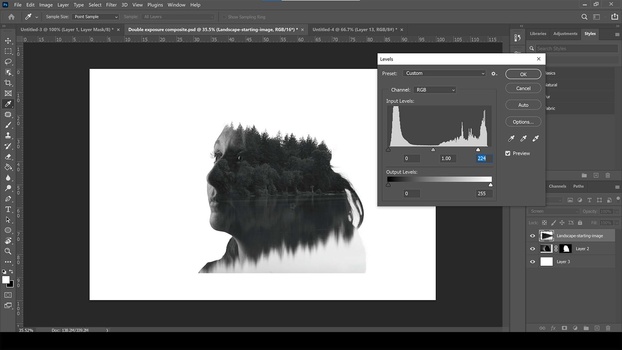 Add a levels adjustment Add a levels adjustment to the landscape layer