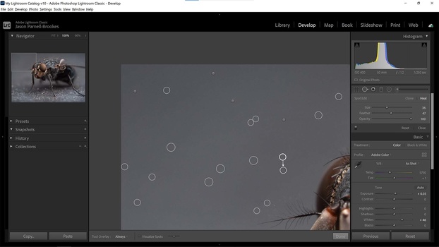 Click on spots Click on spots to remove them