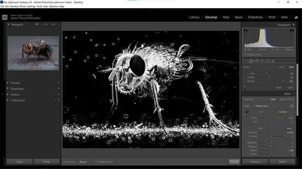 Visualize spots feature Visualize spots feature in lightroom