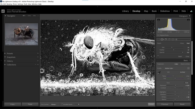 Slider sensitivity Slider sensitivity for the visualize spots feature