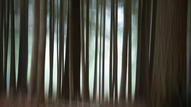 Handheld ICM photo Final handheld ICM photo