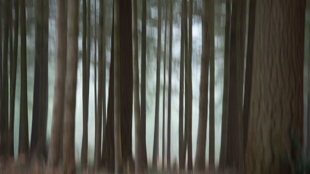 Shutter speed too short Shutter speed too short in photo