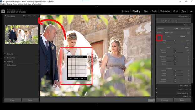 White balance selector White balance selector tool in lightroom