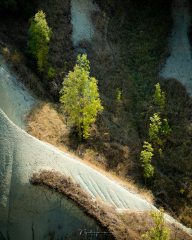 Photographing this vulcanic canyon in France became can be very difficult, even with the nice trees that grow between the eroded slopes. When sunlight and clouds are present, you can wait for the light to be at the perfect spot.
